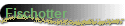 Fischotter